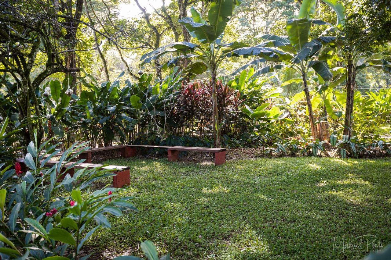 Puerto Viejo Club, Villas & Pool Puerto Viejo de Talamanca 외부 사진