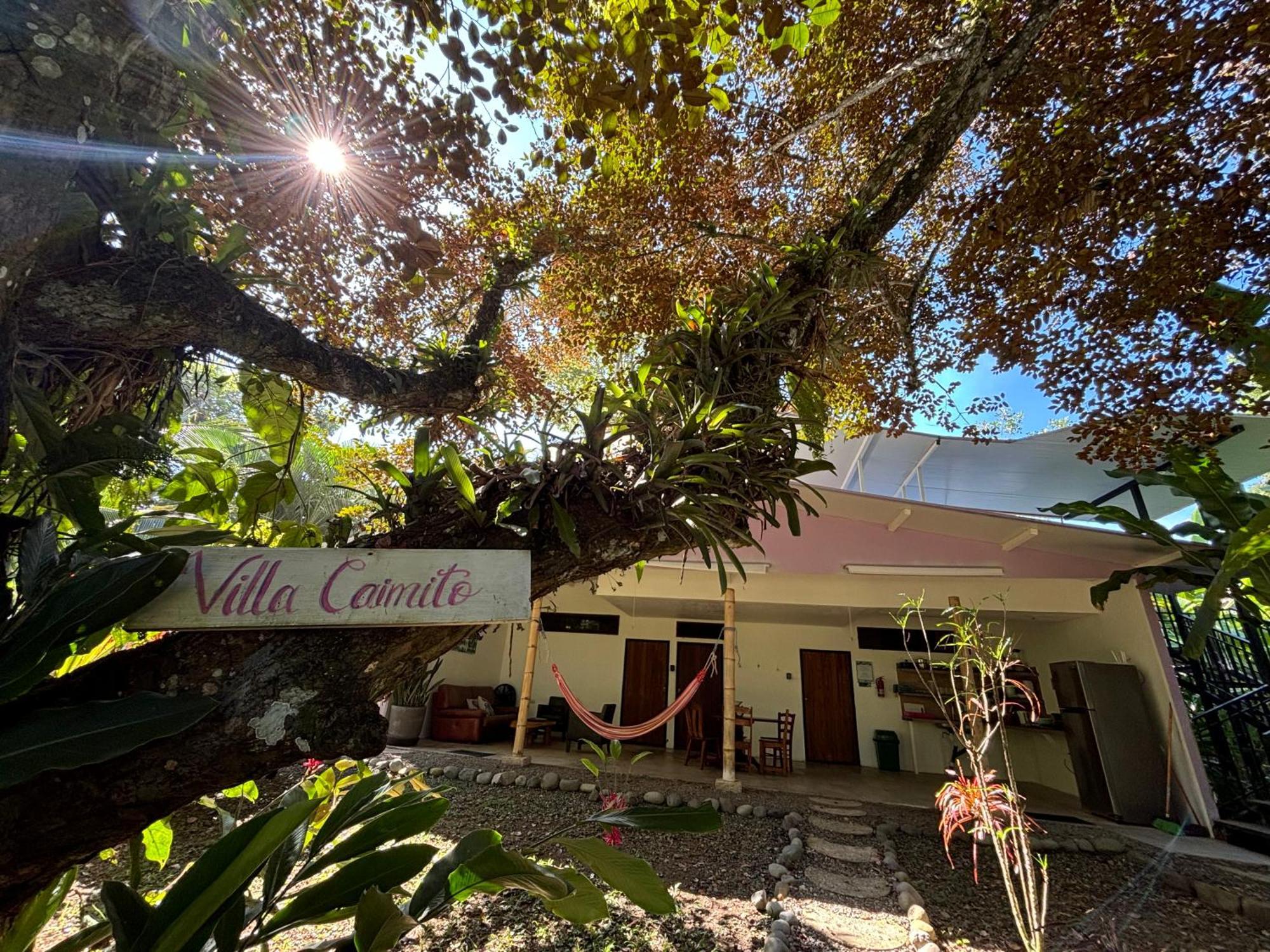 Puerto Viejo Club, Villas & Pool Puerto Viejo de Talamanca 외부 사진